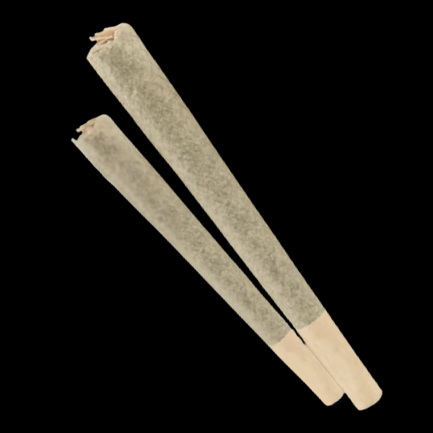 Lemon Tree Preroll 0.5g
