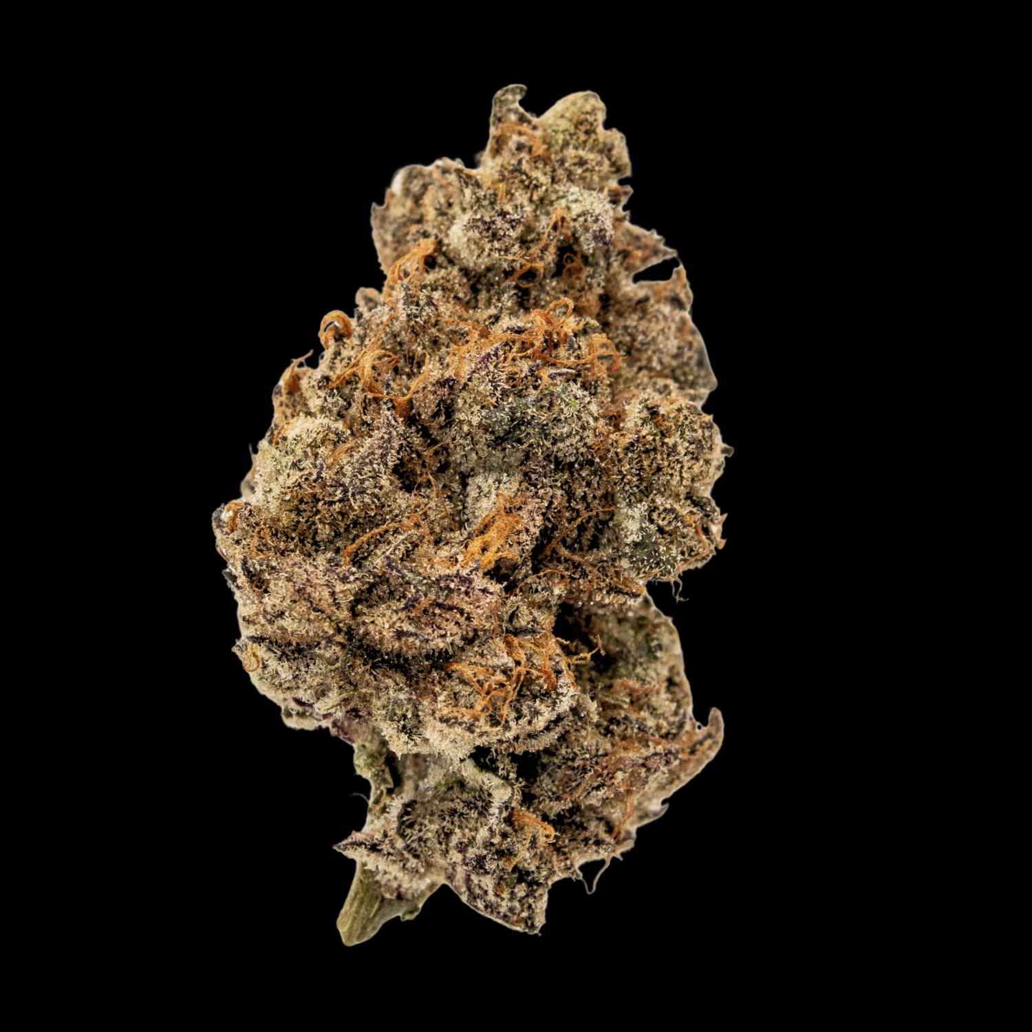 Plum Crazy 7g