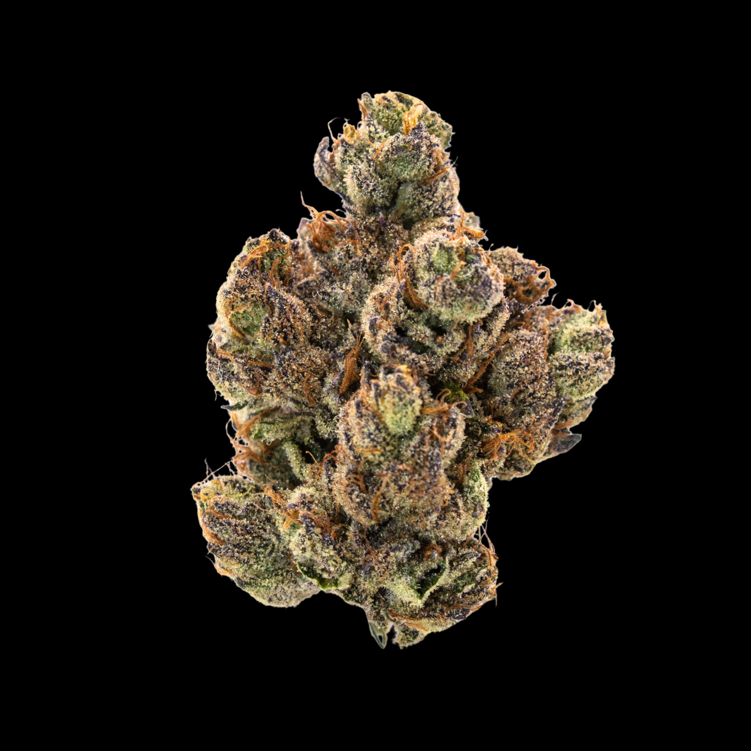 Caribbean Cookies 3.5g